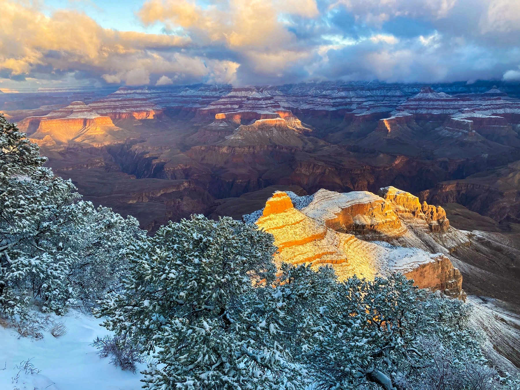 Fresh snow on Grand Canyon cliffs and trees, with golden sunrise breaking through blue winter clouds