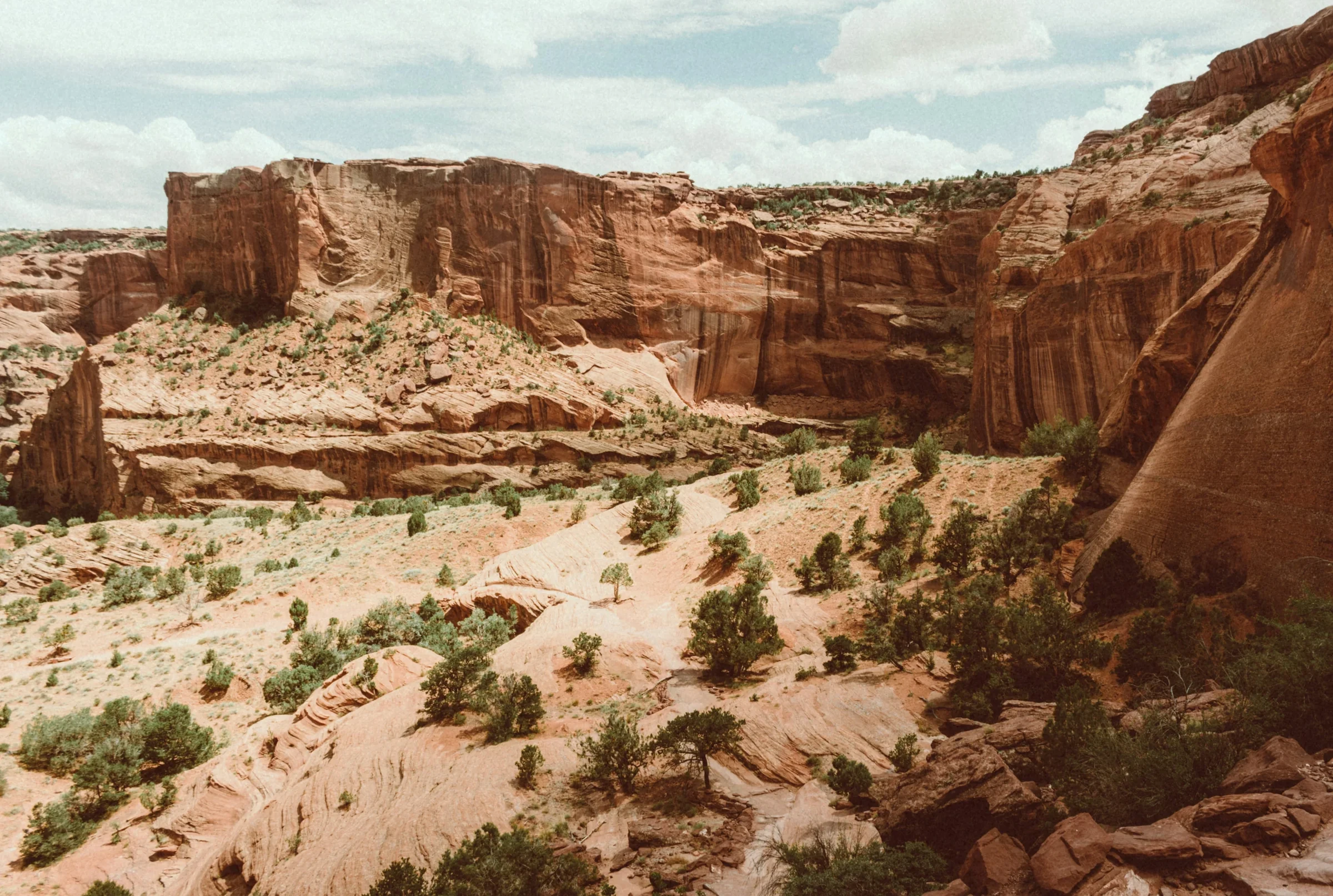 Red sandstone cliffs and scattered green trees in Canyon de Chelly.