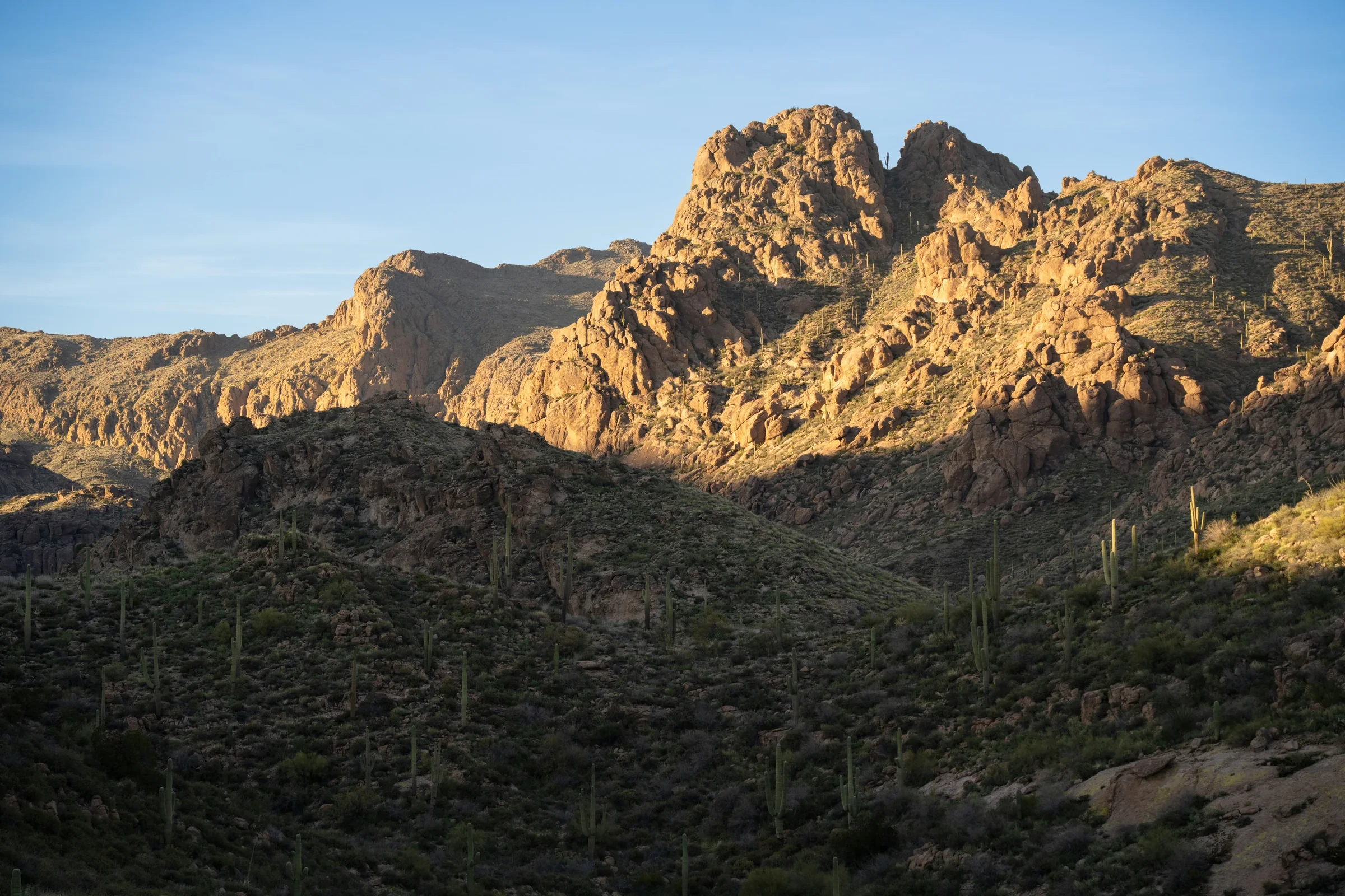 Saguaros on rocky slopes beneath sunlit cliffs in the Superstition Mountains.
