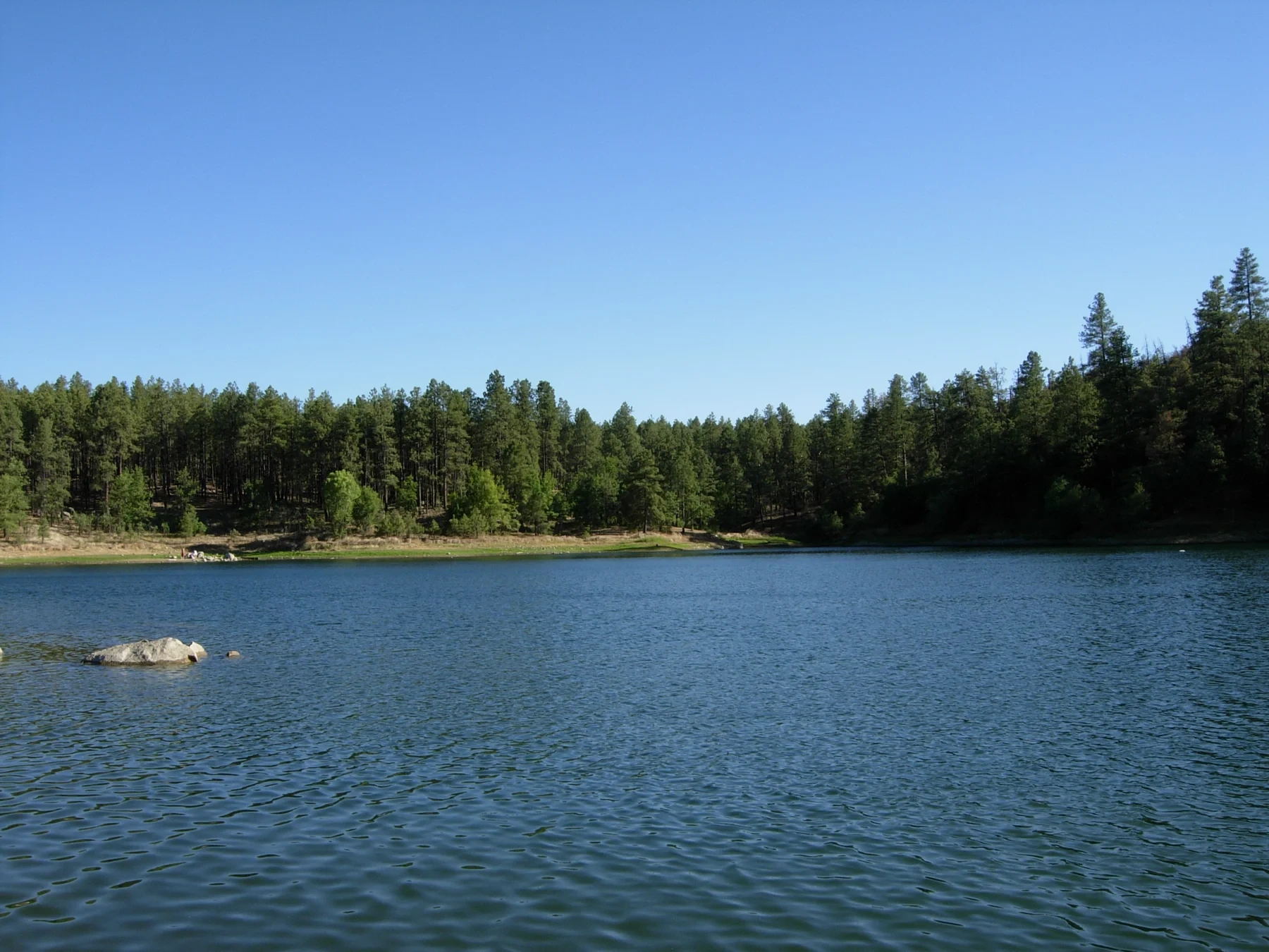 Blue water at Goldwater Lake beneath a shoreline of pine trees.