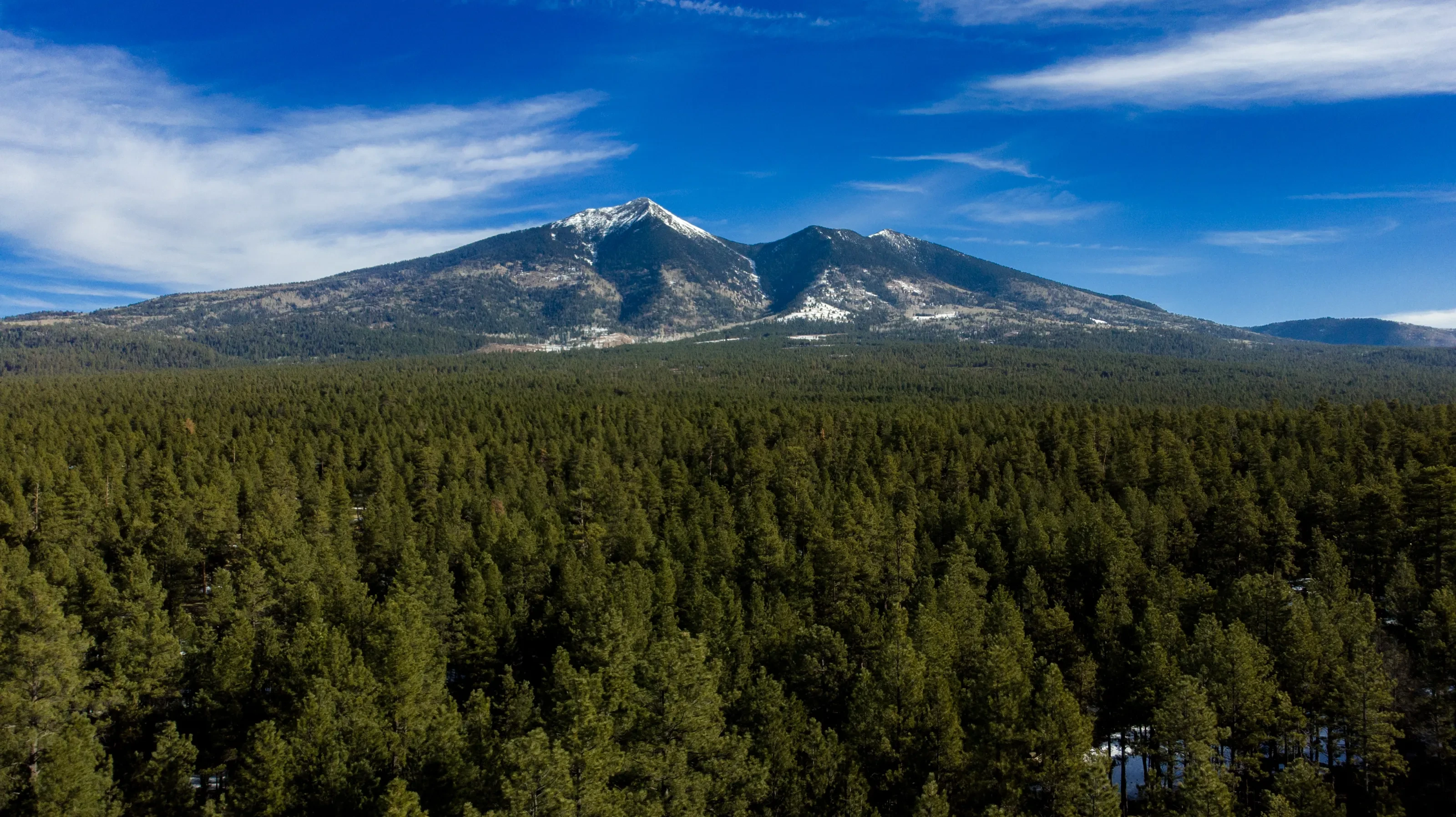 Snow-tipped San Francisco Peaks and a pine forest outside Flagstaff, Arizona