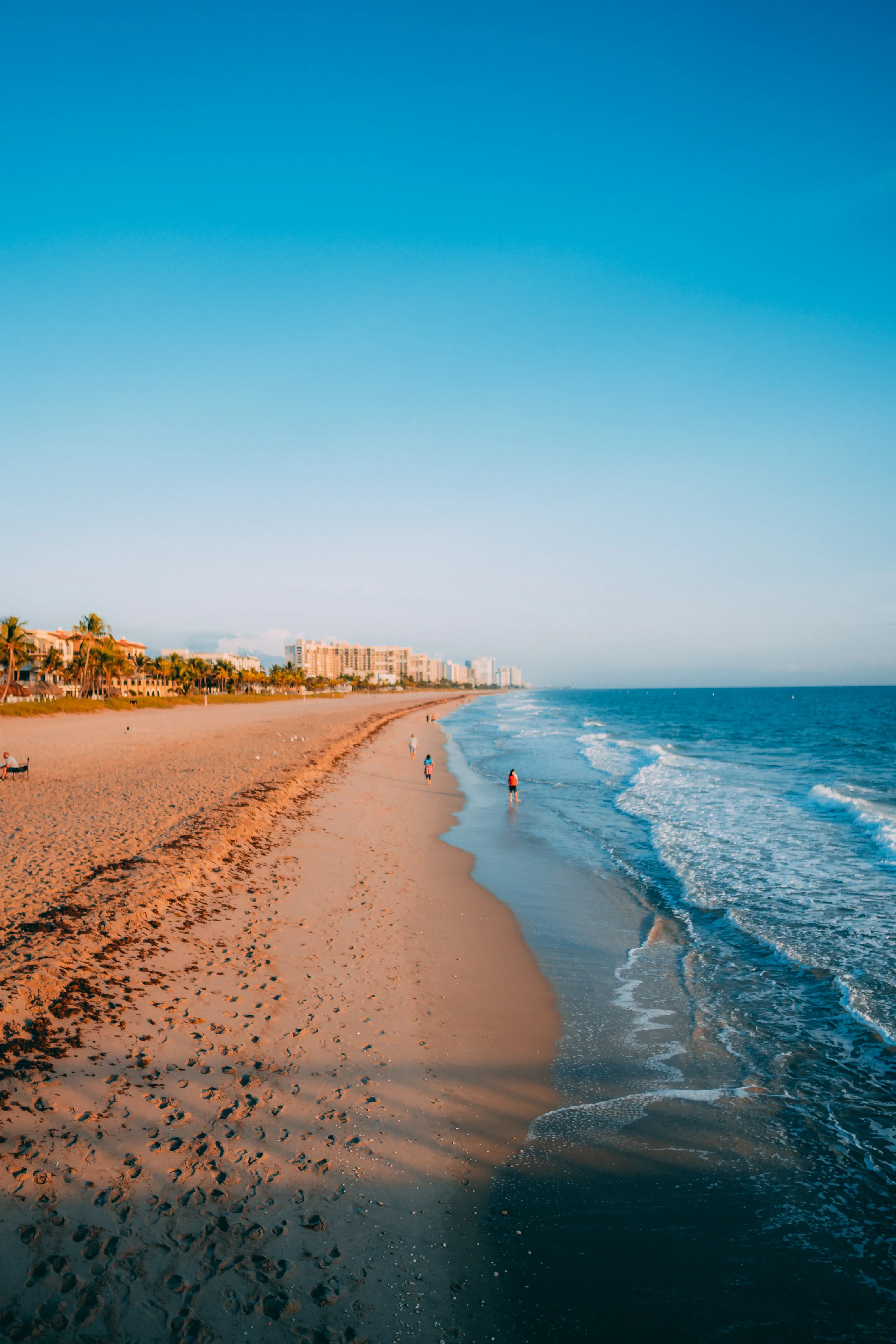 Soft evening light on Miami Beach's palm-lined shore and Atlantic waves