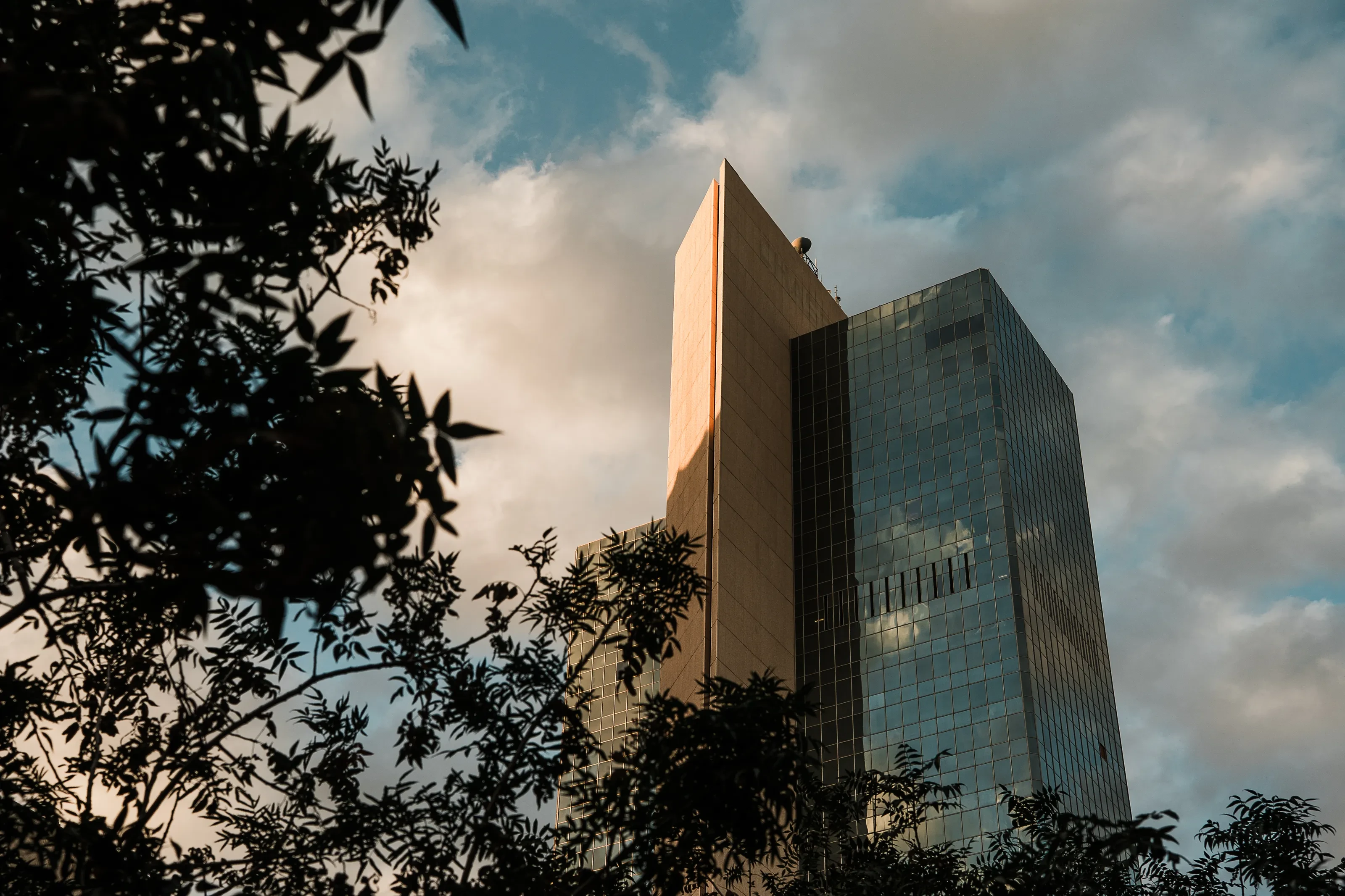 Sunset light and cloud reflections on a downtown Phoenix glass tower, framed by trees