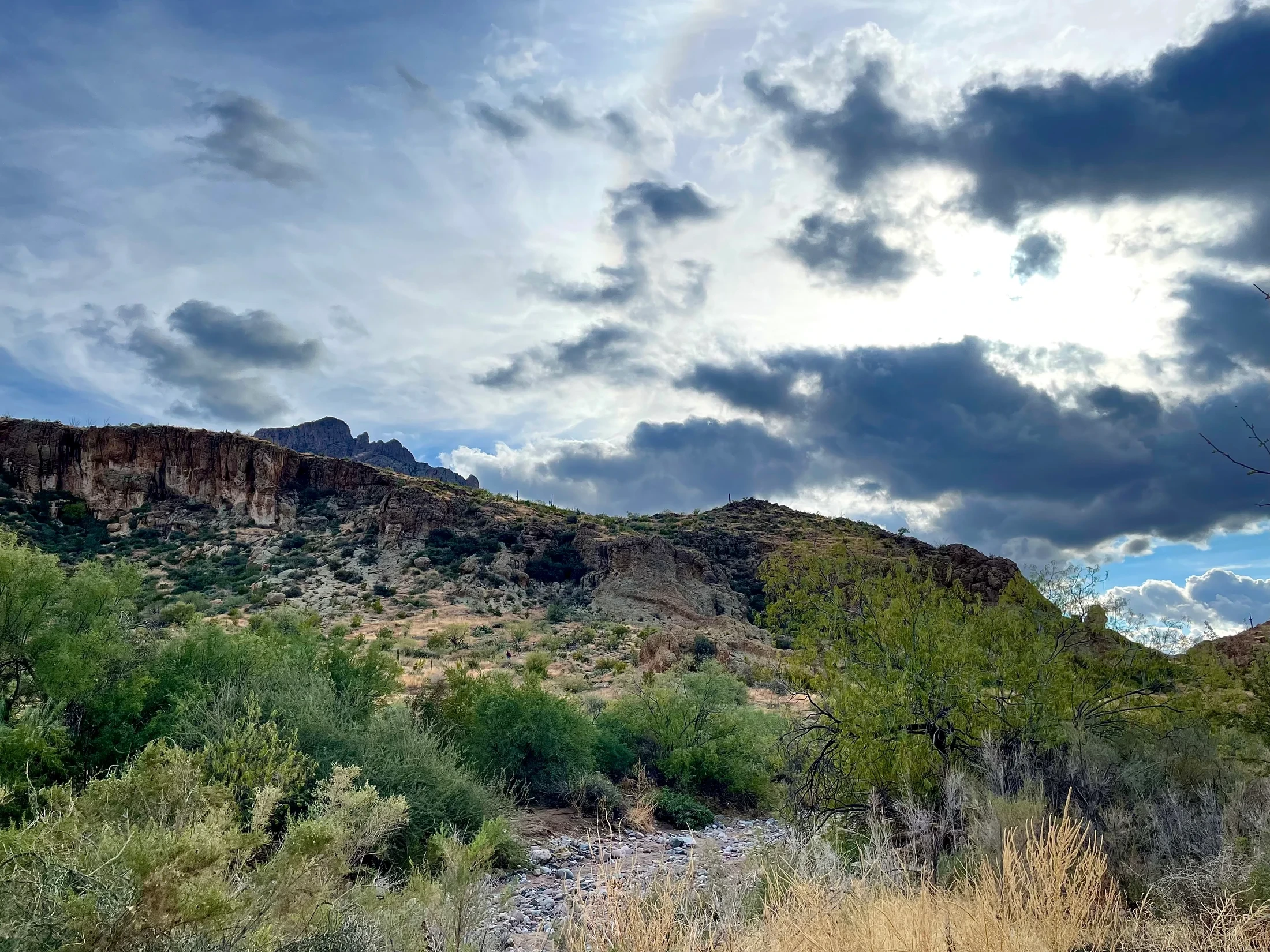 Rock cliffs, trees and a stony creek bed at Boyce Thompson Arboretum beneath a clouded sky.